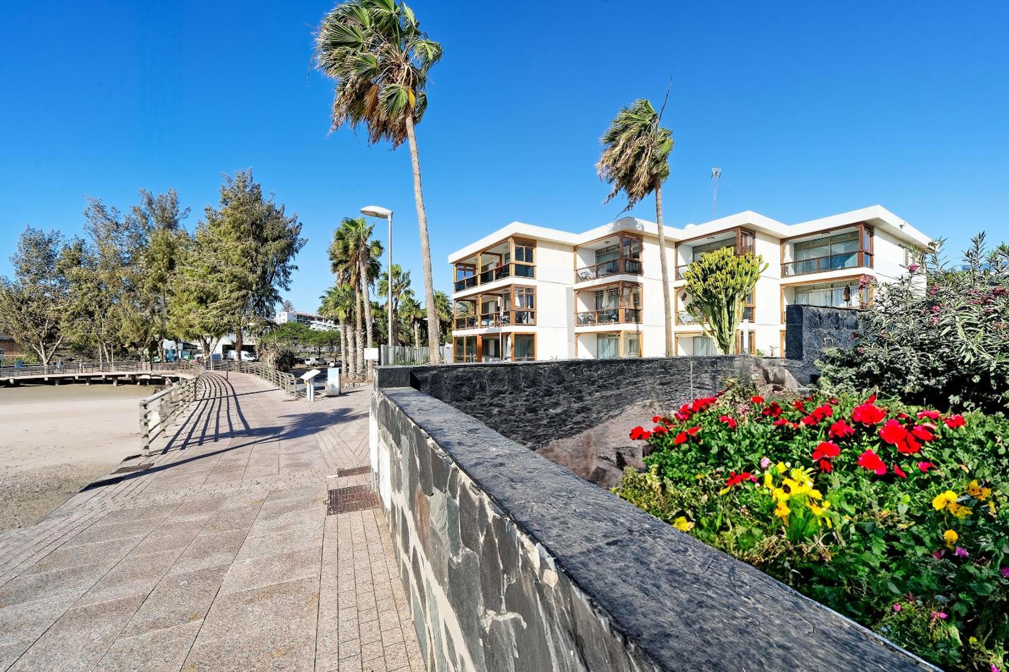 Apartamentos Los Papagayos ซาน อากุสติน ภายนอก รูปภาพ